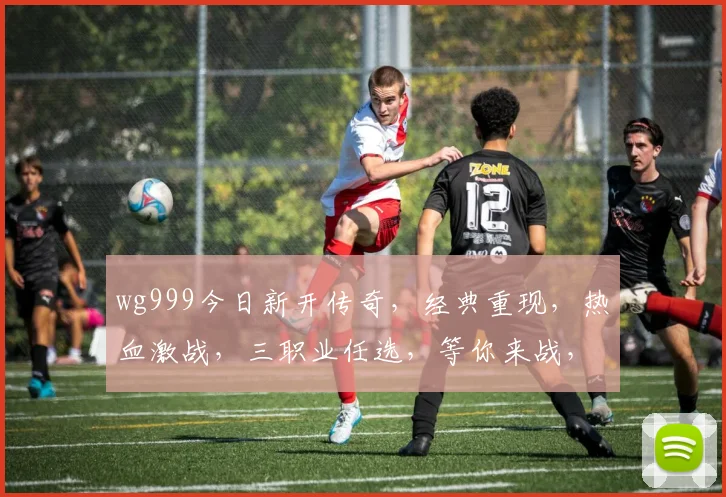 wg999今日新开传奇，经典重现，热血激战，三职业任选，等你来战，不容错过